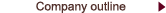 Company outline